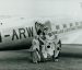 Op 25 en 26 juni 1938 werd ter gelegenheid van de opening van het vliegveld Leeuwarden een groot vliegfeest gehouden. Hier poseert een Friese folkloristische dans- en zanggroep voor een DC-3 van de KLM. Beeld: Johannes Doedes de Jong/Tresaor, CC BY-NC 4.0